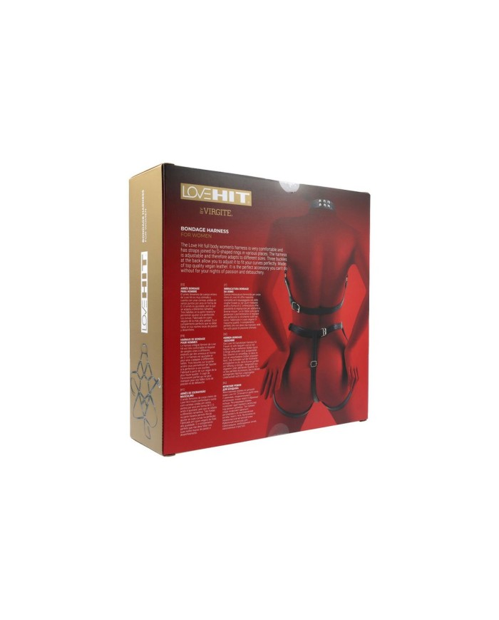 Kit per Schiavo Sexy Virgite Kit per Schiavo Sexy Virgite