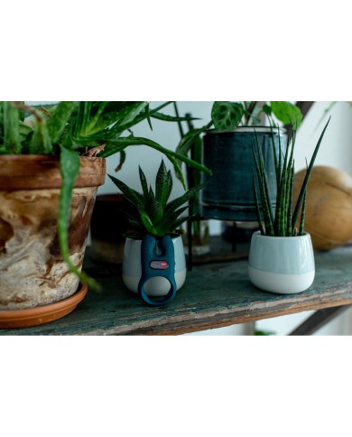 Anelli Fallici Fun Factory 51101 Azzurro