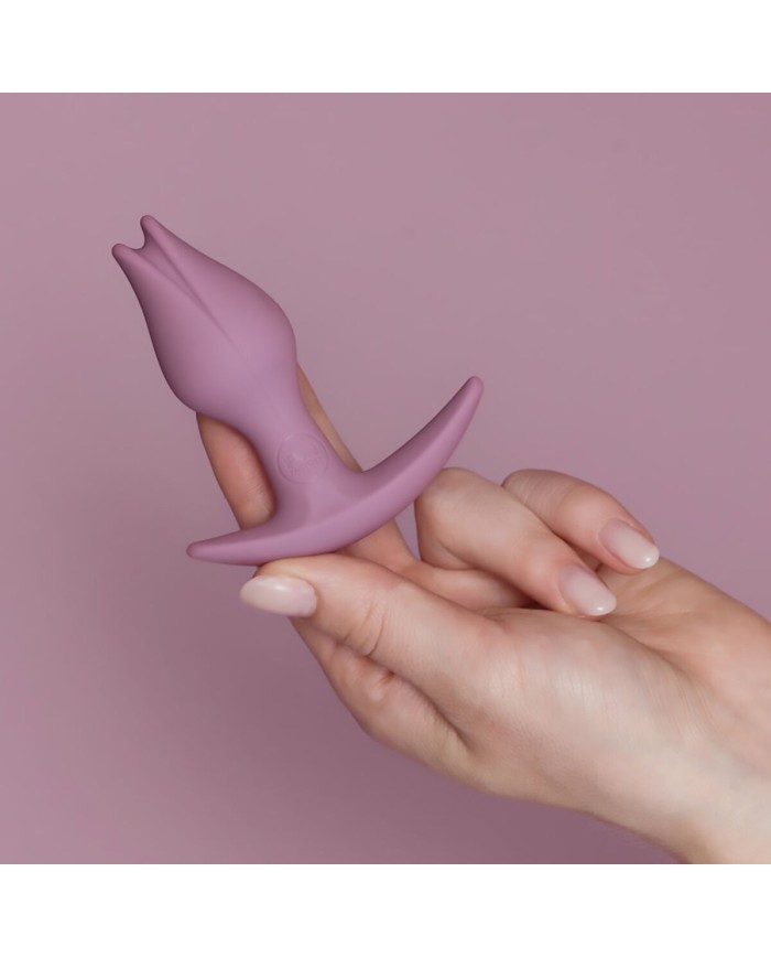 Plug Anale Fun Factory Rosa Plug Anale Fun Factory Rosa