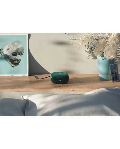 Succhia Clitoride Fun Factory 47100 Verde