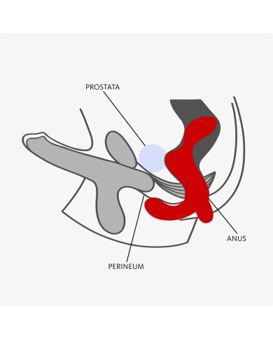 Massaggiatore Prostatico Fun Factory DUKE Nero Massaggiatore Prostatico Fun Factory DUKE Nero