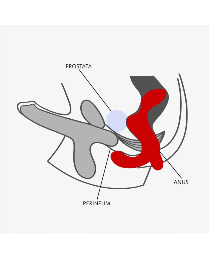 Massaggiatore Prostatico Fun Factory DUKE Nero Massaggiatore Prostatico Fun Factory DUKE Nero