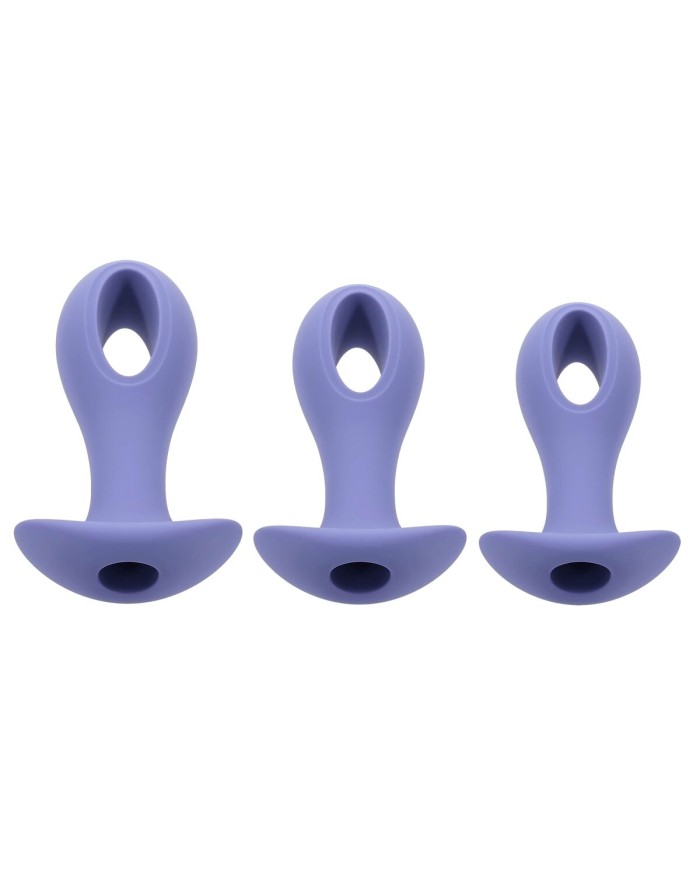 Plug Anale Evolved Viola (8,9 cm) (9,5 cm) (10,1 cm)