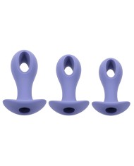 Plug Anale Evolved Viola (8,9 cm) (9,5 cm) (10,1 cm)