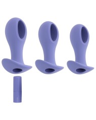 Plug Anale Evolved Viola (8,9 cm) (9,5 cm) (10,1 cm)