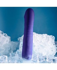 Vibratore Tradizionale Evolved Selopa Viola Vibratore Tradizionale Evolved Selopa Viola