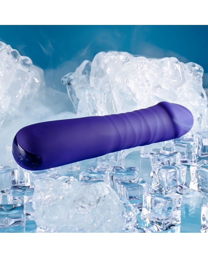 Vibratore Tradizionale Evolved Selopa Viola Vibratore Tradizionale Evolved Selopa Viola