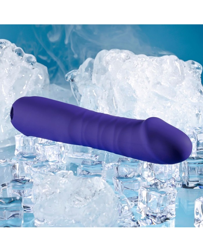 Vibratore Tradizionale Evolved Selopa Viola Vibratore Tradizionale Evolved Selopa Viola