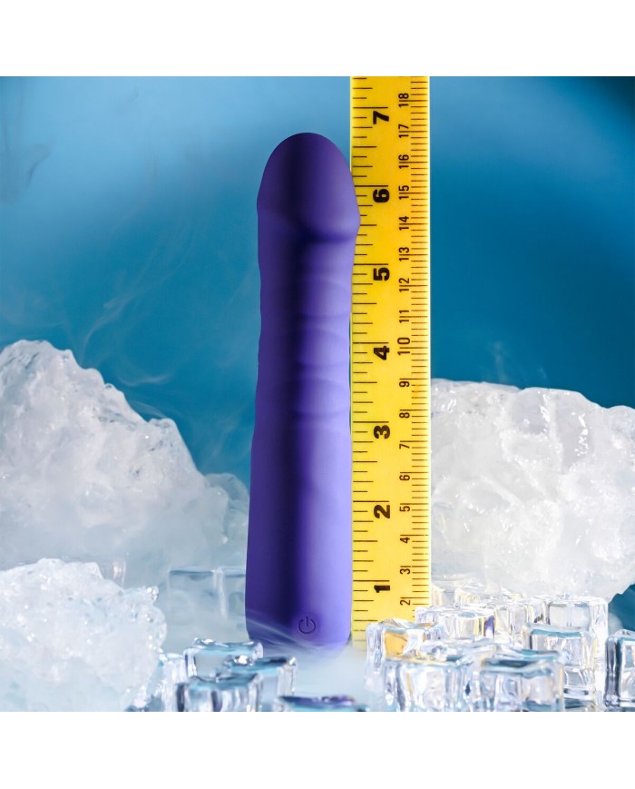 Vibratore Tradizionale Evolved Selopa Viola Vibratore Tradizionale Evolved Selopa Viola