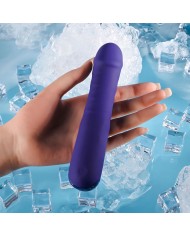 Vibratore Tradizionale Evolved Selopa Viola Vibratore Tradizionale Evolved Selopa Viola