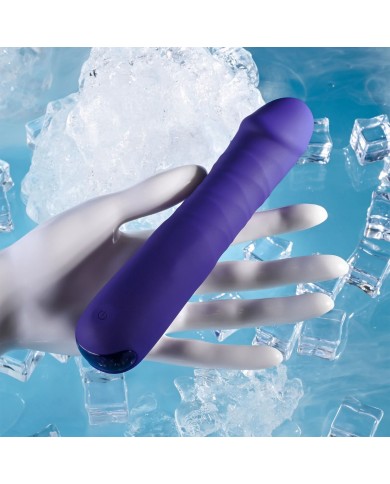 Vibratore Tradizionale Evolved Selopa Viola