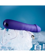 Vibratore Tradizionale Evolved Selopa Viola Vibratore Tradizionale Evolved Selopa Viola