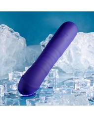 Vibratore Tradizionale Evolved Selopa Viola Vibratore Tradizionale Evolved Selopa Viola