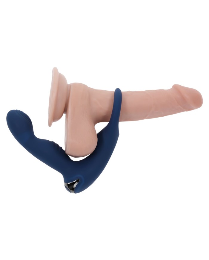 Vibratore Anale Evolved Zero Tolerance Azzurro Vibratore Anale Evolved Zero Tolerance Azzurro