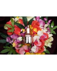 Olio Stimolante Highonlove 30 ml Olio Stimolante Highonlove 30 ml