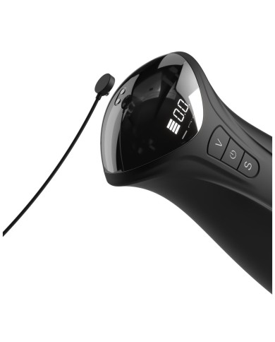 Jack Ass Endurance Pipedream PDX Elite Carne