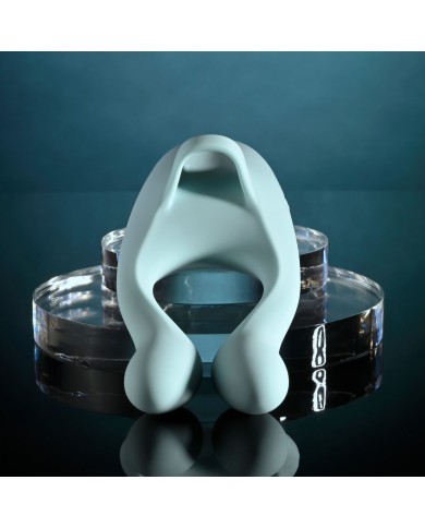 Massaggiatore di Coppia Evolved