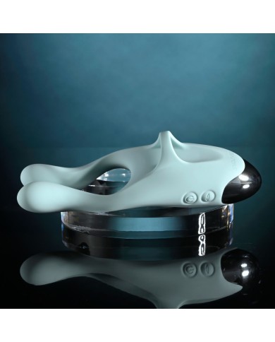 Massaggiatore di Coppia Evolved