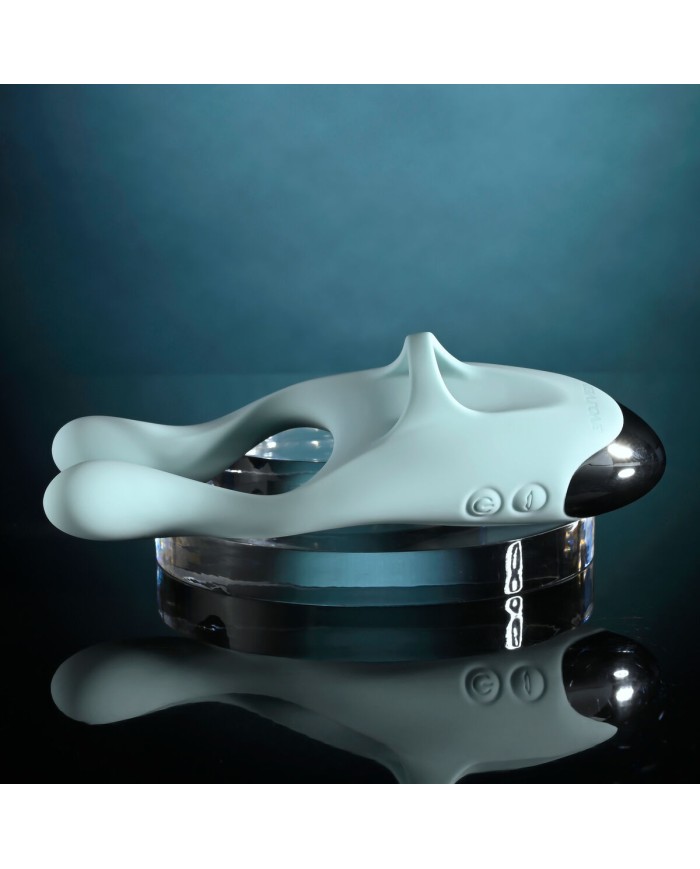 Massaggiatore di Coppia Evolved