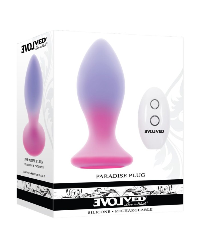 Plug Anale Evolved Multicolore (8,9 cm)