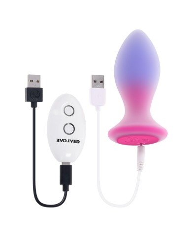 Plug Anale Evolved Multicolore (8,9 cm)