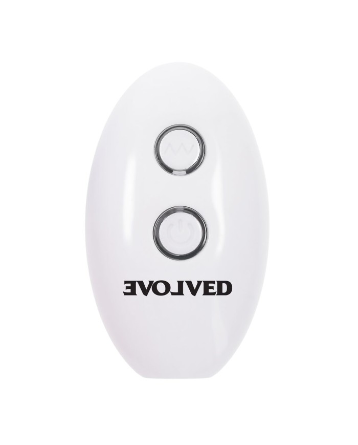 Plug Anale Evolved Multicolore (8,9 cm)