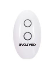 Plug Anale Evolved Multicolore (8,9 cm)