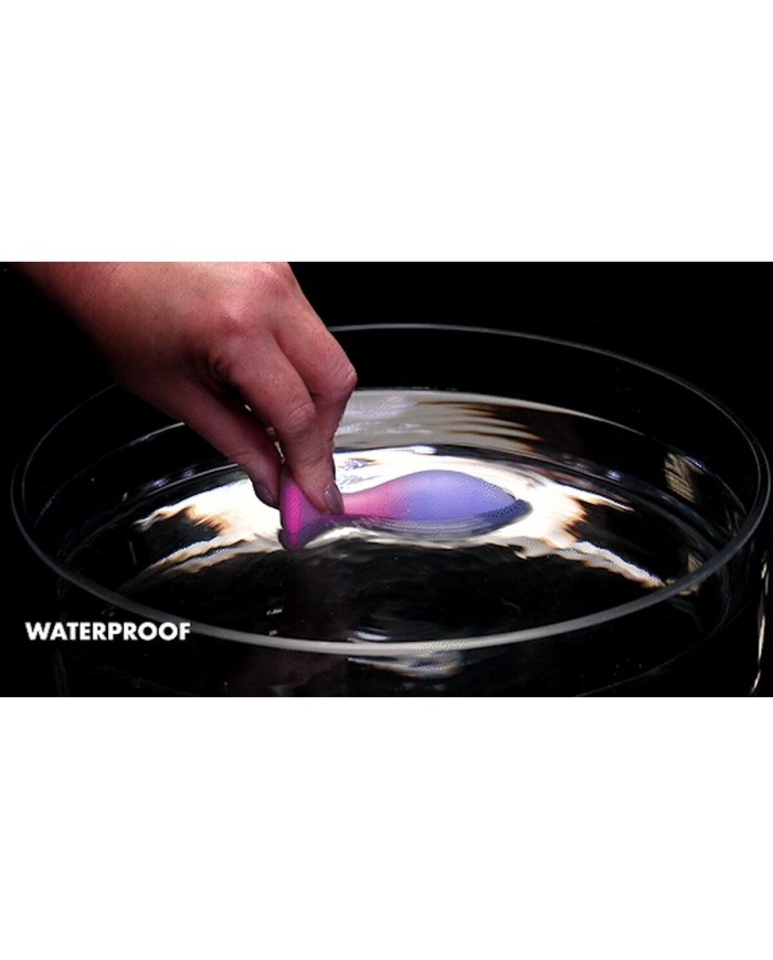 Plug Anale Evolved Multicolore (8,9 cm)