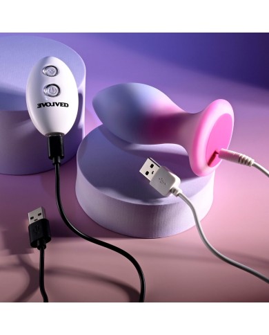 Plug Anale Evolved Multicolore (8,9 cm)