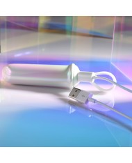 Vibratore Evolved Playboy Bianco Vibratore Evolved Playboy Bianco