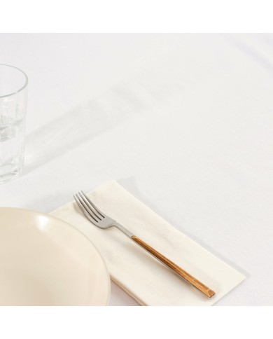 Tovaglia antimacchia Belum Liso Bianco 180 x 250 cm XL