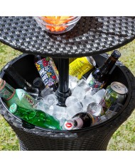 Tavolo Frigorifero da Giardino 3 in 1 Frizzble InnovaGoods