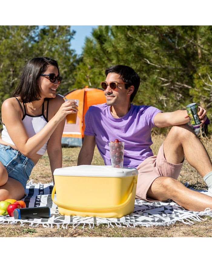 Frigorifero Portatile Rigido Lilty InnovaGoods 15 L