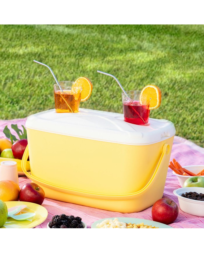 Frigorifero Portatile Rigido Lilty InnovaGoods 15 L