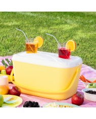 Frigorifero Portatile Rigido Lilty InnovaGoods 15 L