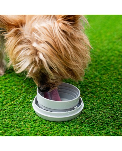 Guinzaglio Retrattile per Cani 6 in 1 Leashic InnovaGoods