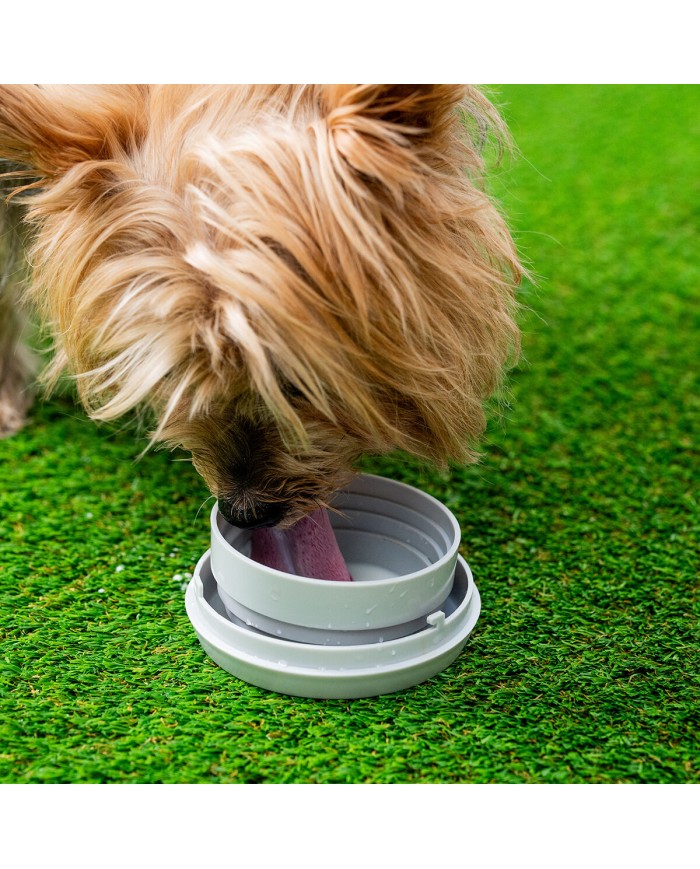 Guinzaglio Retrattile per Cani 6 in 1 Leashic InnovaGoods Guinzaglio Retrattile per Cani 6 in 1 Leashic InnovaGoods