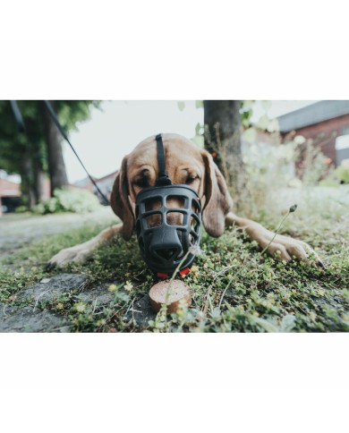 Museruola Gloria Albury Nero (Ricondizionati B)