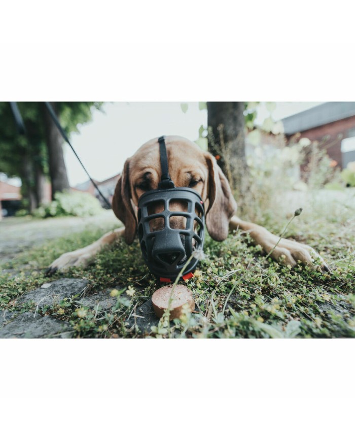 Museruola Gloria Albury Nero (Ricondizionati B) Museruola Gloria Albury Nero (Ricondizionati B)