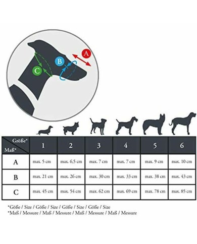 Museruola Gloria Albury Nero (Ricondizionati B)