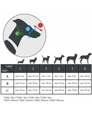 Museruola Gloria Albury Nero (Ricondizionati B) Museruola Gloria Albury Nero (Ricondizionati B)