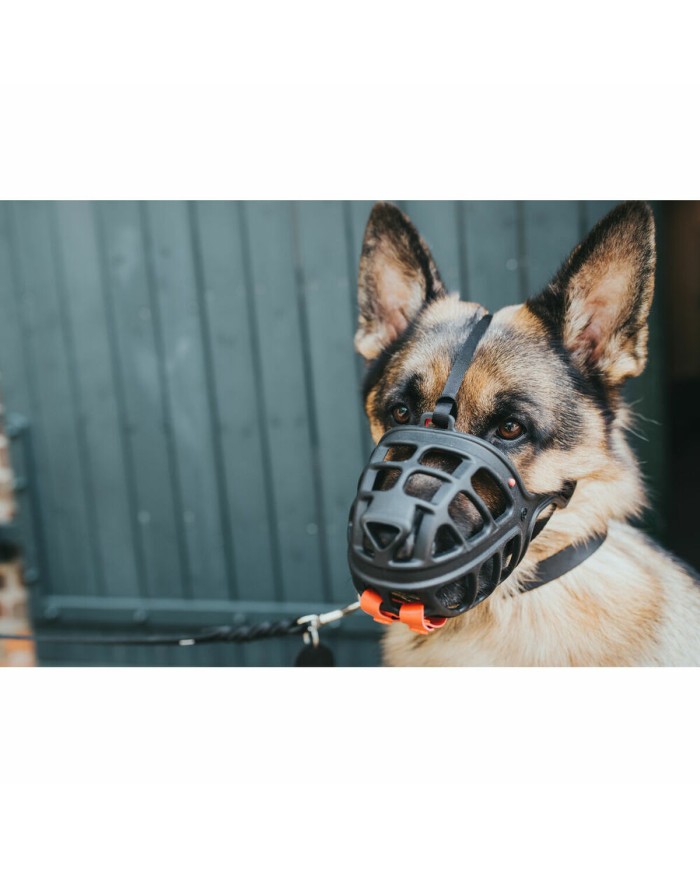 Museruola Gloria Albury Nero (Ricondizionati B) Museruola Gloria Albury Nero (Ricondizionati B)