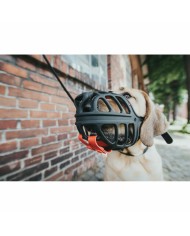 Museruola Gloria Albury Nero (Ricondizionati B) Museruola Gloria Albury Nero (Ricondizionati B)