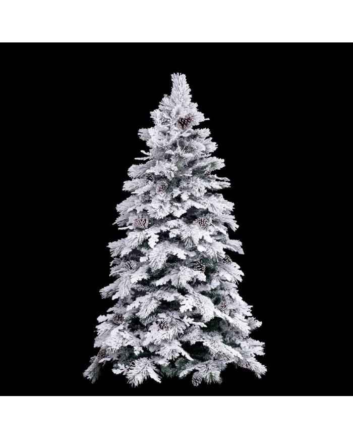 Albero di Natale (Ricondizionati B)