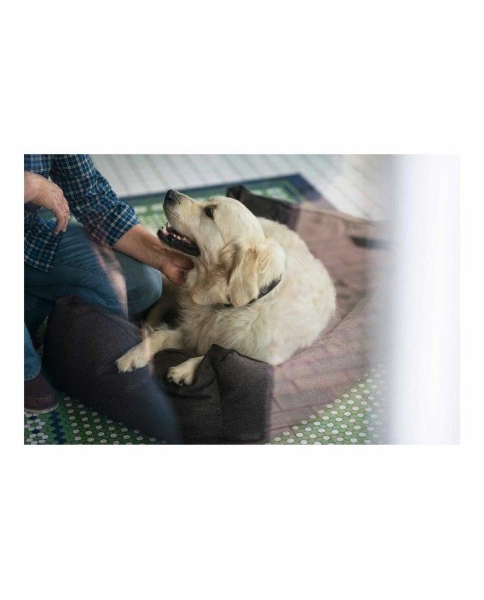 Divano per cani Hunter (Ricondizionati A) Divano per cani Hunter (Ricondizionati A)