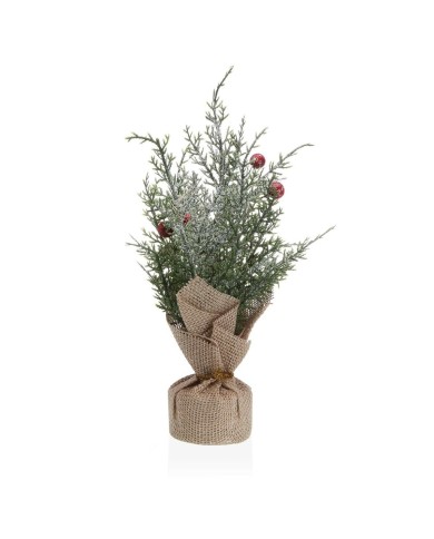 Pianta Decorativa Versa Plastica