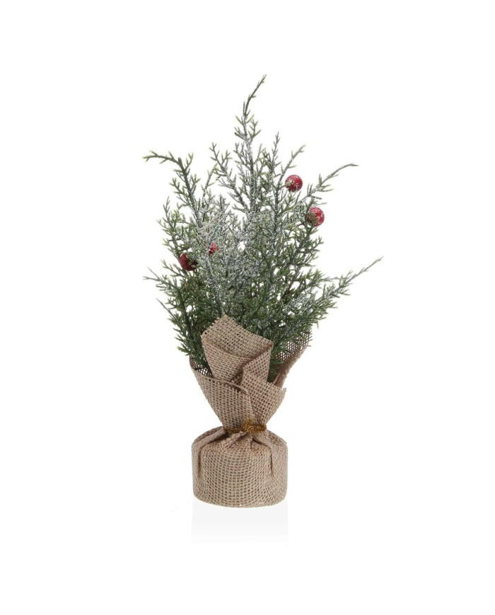 Pianta Decorativa Versa Plastica Pianta Decorativa Versa Plastica