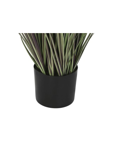 Pianta Decorativa Home ESPRIT Plastica