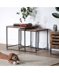 Statua Decorativa Versa Gufo (48 Pezzi)