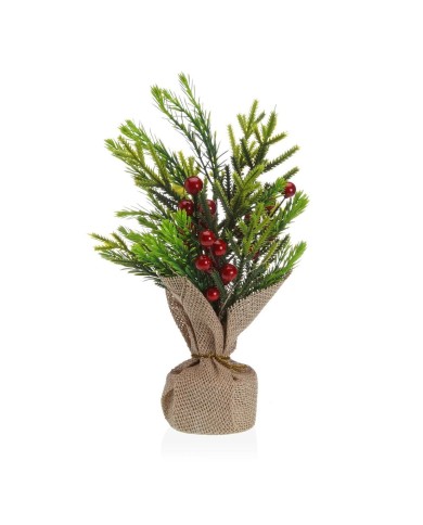 Pianta Decorativa Versa Plastica